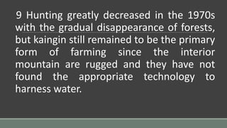 9 Hunting greatly decreased in the 1970s
with the gradual disappearance of forests,
but kaingin still remained to be the primary
form of farming since the interior
mountain are rugged and they have not
found the appropriate technology to
harness water.
 