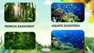 Quarter 4 - ALL ABOUT OUR BIODIVERSITY.pptx
