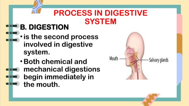 Quarter 4 - THE DIGESTIVE SYSTEM grade 8.pptx | Digestive Disorders ...