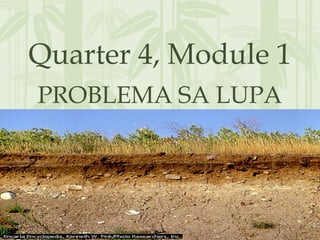 Quarter 4, Module 1
PROBLEMA SA LUPA
 