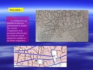 Tissu mixte :
L’îlot :
la configuration que
présente les îlots est
généralement le résultat
des travaux
d’alignement et de
percement effectués par
les colons,ils sont de
dimension variables et
de formes irrégulières.
 
