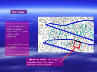 Le système viaire de ceLe système viaire de ce
tissu se présente entissu se présente en
fausse résille, il y a deuxfausse résille, il y a deux
systèmes qui sesystèmes qui se
superposent :superposent :
-un système linéaire et-un système linéaire et
arborescentarborescent
-un système en boucle-un système en boucle
Système en boucle: Des voie qui
s‘articulent autour d’un espace
constituant ainsi une boucle
Tissu mixteTissu mixte
 