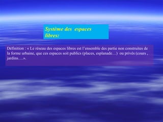 Système des espaces
libres:
Définition : « Le réseau des espaces libres est l’ensemble des partie non construites de
la forme urbaine, que ces espaces soit publics (places, esplanade…) ou privés (cours ,
jardins….».
 