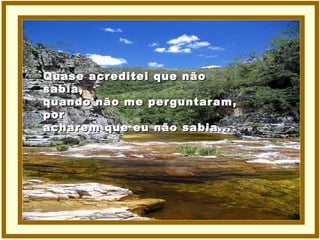 Quase acreditei que não sabia, quando não me perguntaram, por acharem que eu não sabia... 