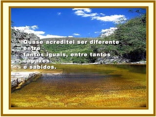 Quase acreditei ser diferente entre tantos iguais, entre tantos capazes e sabidos. 