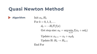 Quasi newton method | PDF