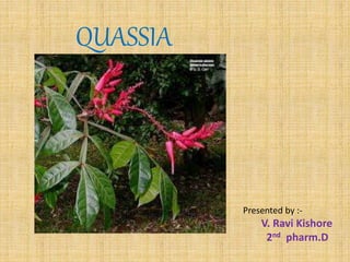 QUASSIA
Presented by :-
V. Ravi Kishore
2nd pharm.D
 