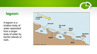 A lagoon is a
shallow body of
water separated
from a larger
body of water by
barrier islands or
reefs
lagoon:
 