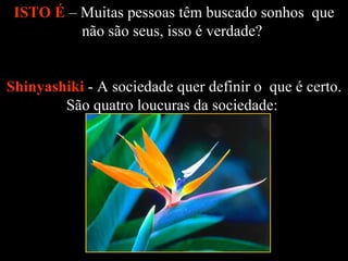 ISTO É  – Muitas pessoas têm buscado sonhos  que não são seus, isso é verdade?    Shinyashiki   - A sociedade quer definir o  que é certo. São quatro loucuras da sociedade:  