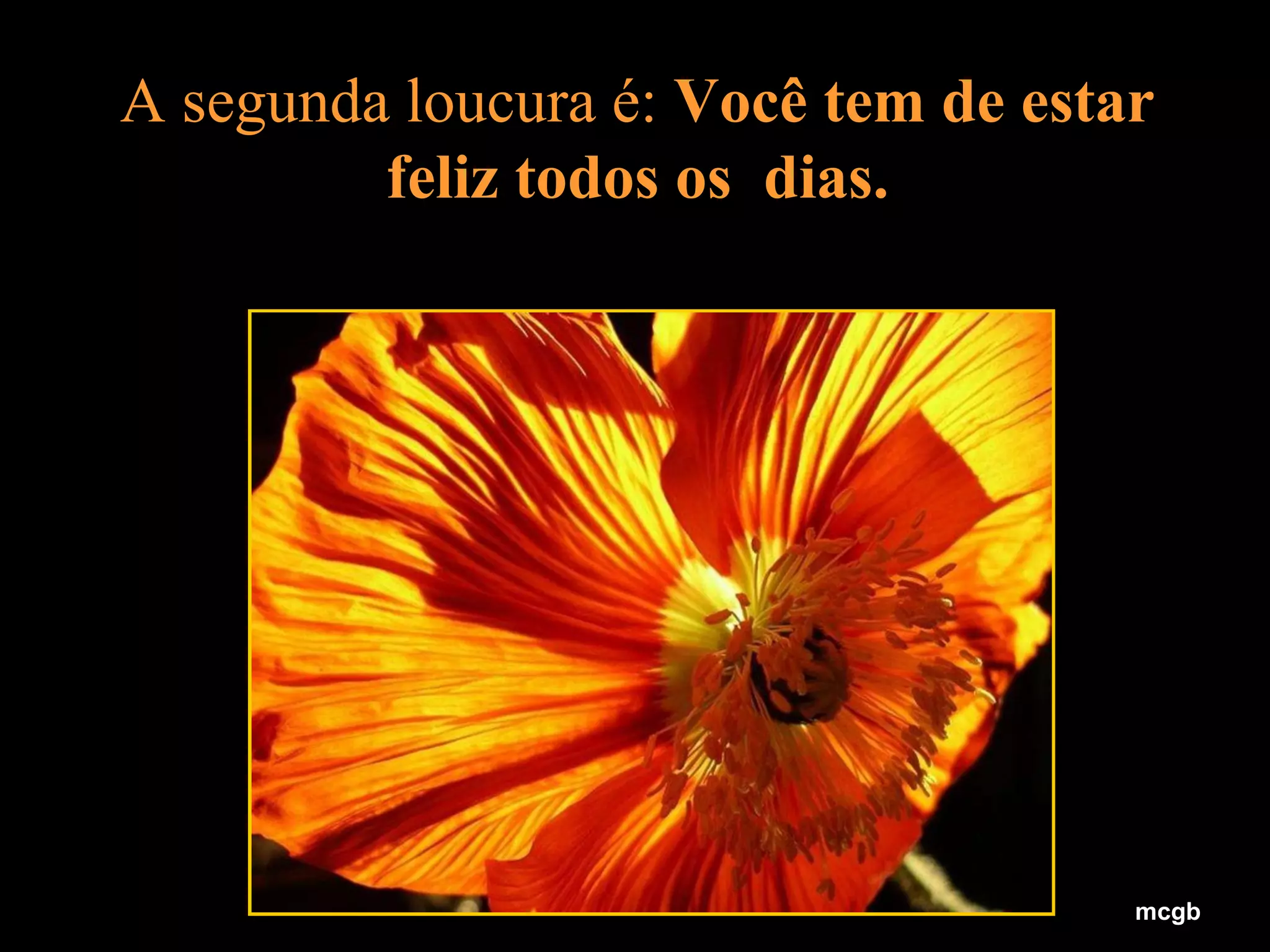 A segunda loucura é:  Você tem de estar feliz todos os  dias. mcgb 