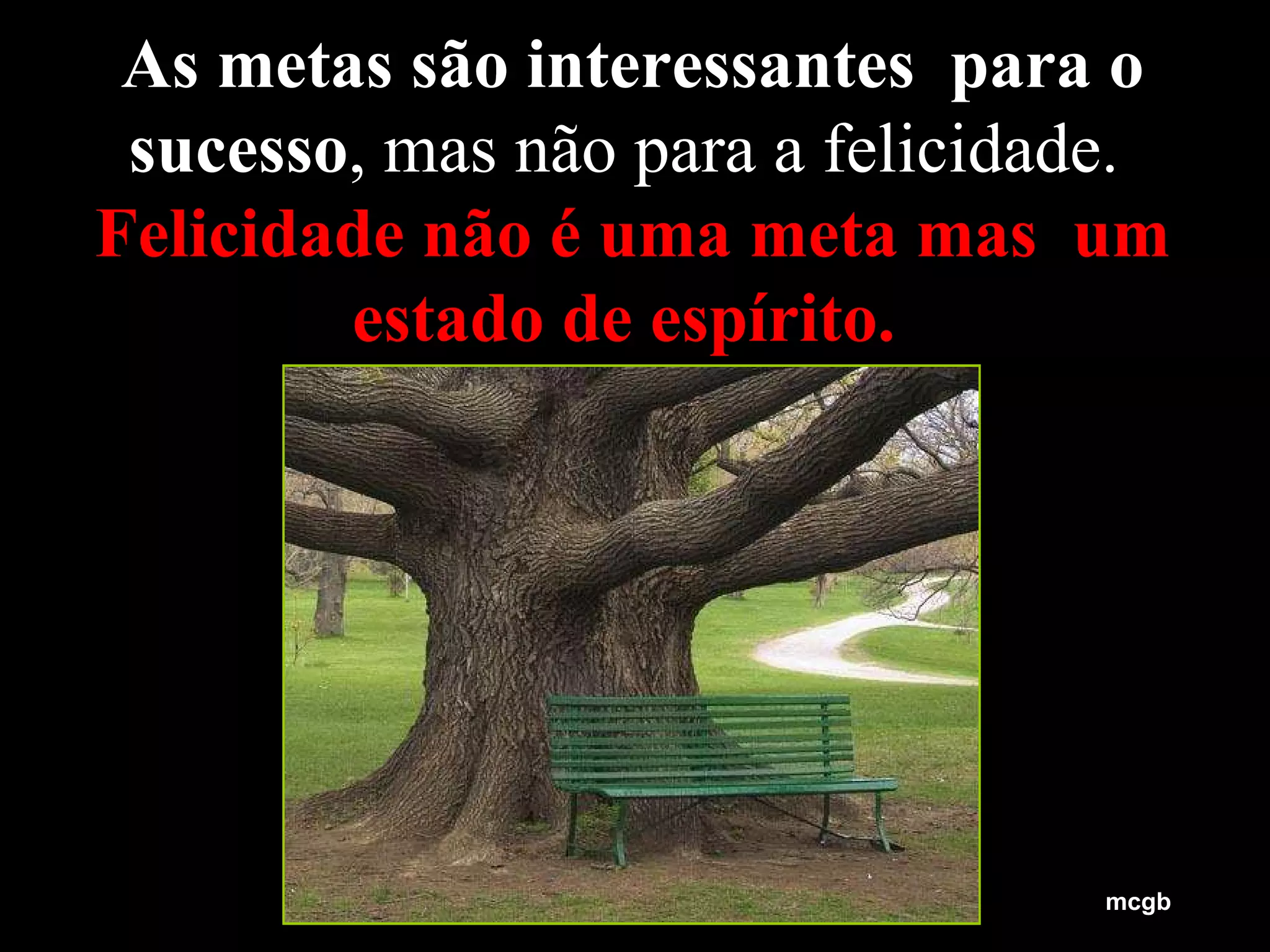 As metas são interessantes  para o sucesso , mas não para a felicidade.  Felicidade não é uma meta mas  um estado de espírito.   mcgb 