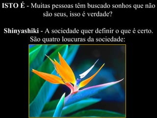 ISTO É  - Muitas pessoas têm buscado sonhos que não são seus, isso é verdade?  Shinyashiki  - A sociedade quer definir o que é certo. São quatro loucuras da sociedade:  
