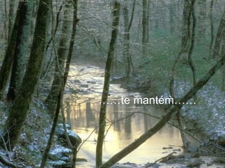 …… te mantém…… . . 