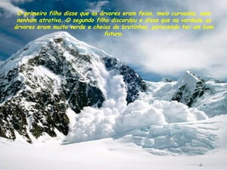 O primeiro filho disse que as árvores eram feias, meio curvadas, sem nenhum atrativo. O segundo filho discordou e disse que na verdade as árvores eram muito verde e cheias de brotinhos, parecendo ter um bom futuro. 