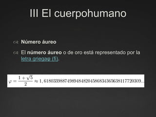 III El cuerpohumanoNúmero áureoEl número áureo o de oro está representado por la letra griegaφ (fi).