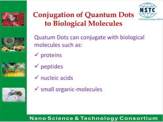 Conjugation of Quantum Dots
to Biological Molecules
Quatum Dots can conjugate with biological
molecules such as:
 proteins
 peptides
 nucleic acids
 small organic-molecules
 
