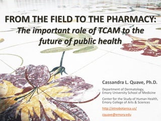 FROM THE FIELD TO THE PHARMACY:
The important role of TCAM to the
future of public health
Cassandra L. Quave, Ph.D.
Department of Dermatology,
Emory University School of Medicine
Center for the Study of Human Health,
Emory College of Arts & Sciences
http://etnobotanica.us/
cquave@emory.edu
 