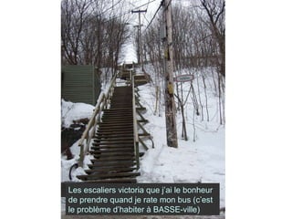 Les escaliers victoria que j’ai le bonheur de prendre quand je rate mon bus (c’est le problème d’habiter à BASSE-ville) 