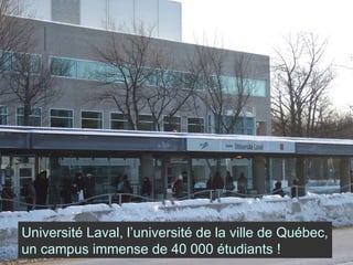 Université Laval, l’université de la ville de Québec, un campus immense de 40 000 étudiants ! 
