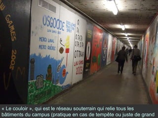 « Le couloir », qui est le réseau souterrain qui relie tous les bâtiments du campus (pratique en cas de tempête ou juste de grand froid) 
