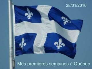 Mes premières semaines à Québec 28/01/2010 