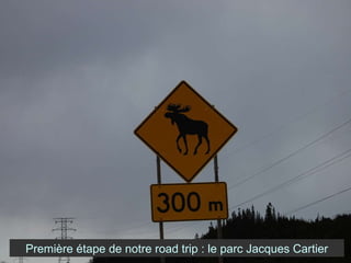 Première étape de notre road trip : le parc Jacques Cartier 
