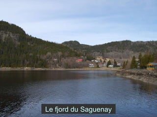 Le fjord du Saguenay 