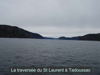 La traversée du St Laurent à Tadoussac 