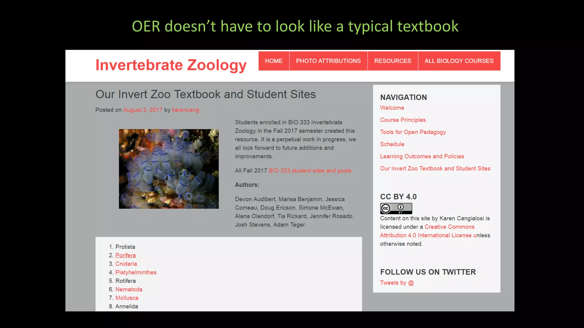 OER doesn’t have to look like a typical textbook
 