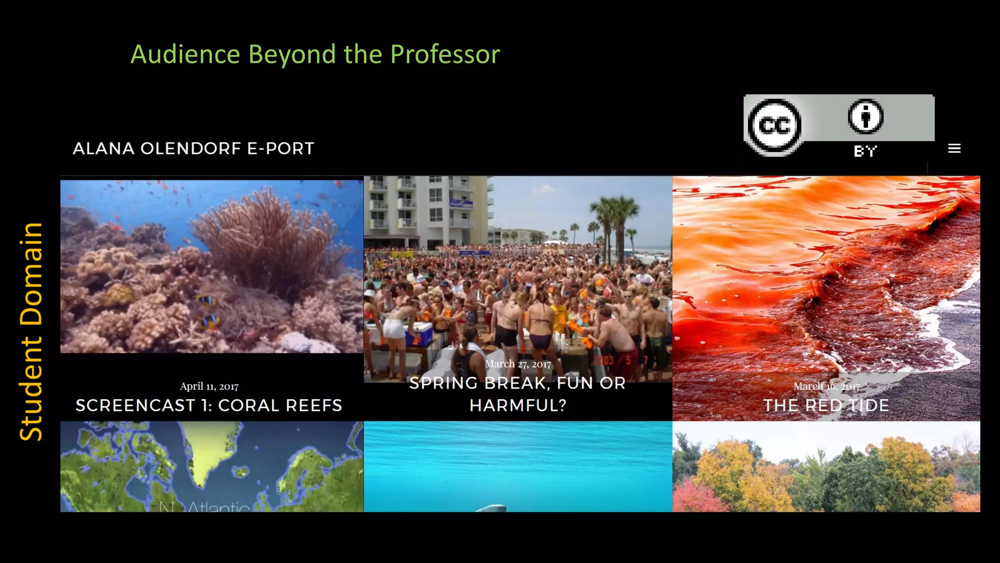 Audience Beyond the Professor
 