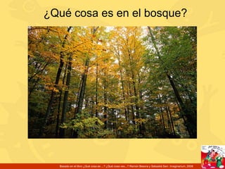 ¿Qué cosa es en el bosque? Basado en el libro ¿Qué cosa es ...? ¿Qué cosa ves...? Ramón Besora y SebastiáSerr. Imaginarium, 2008 