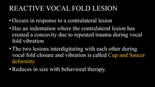 REACTIVE VOCAL FOLD LESION
•Occurs in response to a contralateral lesion
•Has an indentation where the contralateral lesion has
created a concavity due to repeated trauma during vocal
fold vibration
•The two lesions interdigitating with each other during
vocal fold closure and vibration is called Cup and Saucer
deformity
•Reduces in size with behavioral therapy.
 