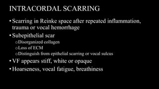 INTRACORDAL SCARRING
•Scarring in Reinke space after repeated inflammation,
trauma or vocal hemorrhage
•Subepithelial scar
oDisorganized collagen
oLoss of ECM
oDistinguish from epithelial scarring or vocal sulcus
•VF appears stiff, white or opaque
•Hoarseness, vocal fatigue, breathiness
 