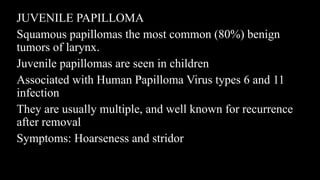 JUVENILE PAPILLOMA
Squamous papillomas the most common (80%) benign
tumors of larynx.
Juvenile papillomas are seen in children
Associated with Human Papilloma Virus types 6 and 11
infection
They are usually multiple, and well known for recurrence
after removal
Symptoms: Hoarseness and stridor
 