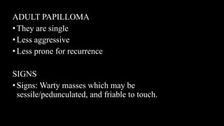 ADULT PAPILLOMA
•They are single
•Less aggressive
•Less prone for recurrence
SIGNS
•Signs: Warty masses which may be
sessile/pedunculated, and friable to touch.
 