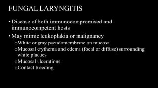 FUNGAL LARYNGITIS
•Disease of both immunocompromised and
immunocompetent hosts
•May mimic leukoplakia or malignancy
oWhite or gray pseudomembrane on mucosa
oMucosal erythema and edema (focal or diffuse) surrounding
white plaques
oMucosal ulcerations
oContact bleeding
 