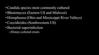 •Candida species most commonly cultured
•Blastomyces (Eastern US and Midwest)
•Histoplasma (Ohio and Mississippi River Valleys)
•Coccidioides (Southwestern US)
•Bacterial superinfection
oHoney-colored crusts
 