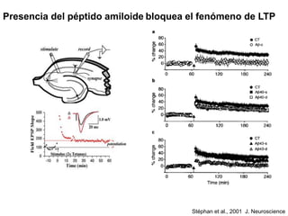 Presencia del péptido amiloide bloquea el fenómeno de LTP 
Stéphan et al., 2001 J. Neuroscience 
 