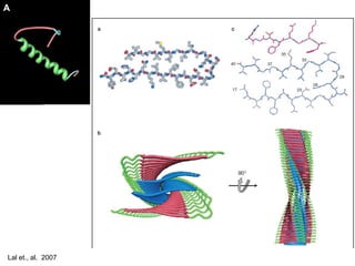 A B 
C 
Stride 
DSSP 
PDB, 1BA4 
Lal et., al. 2007 
 