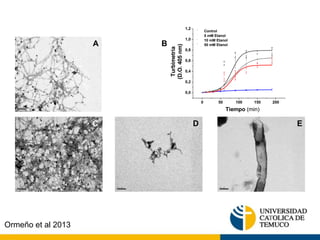 0 50 100 150 200 
Modeling 
1,2 
1,0 
0,8 
0,6 
0,4 
0,2 
0,0 
Tiempo (min) 
Turbimetria 
(D.O. 405 nm) 
Control 
5 mM Etanol 
10 mM Etanol 
A B 50 mM Etanol 
C D E 
Ormeño et al 2013 
 