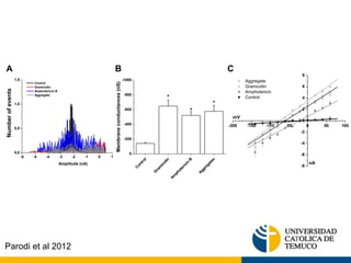 A B C 
-6 -5 -4 -3 -2 -1 0 1 
1,5 
1,0 
0,5 
0,0 
Number of events 
Amplitude (nA) 
Control 
Gramicidin 
Amphotericin B 
Aggregate 
8 
6 
4 
2 
0 
-200 -150 -100 -50 0 50 100 
-2 
-4 
-6 
-8 
nA 
mV 
Aggregate 
Gramicidin 
Amphotericin 
Control 
Control 
Gramicidin 
Amphotericin B 
Aggregates 
-1000 
-800 
-600 
-400 
-200 
0 
* 
* 
Membrane conductances (nS) 
* 
Parodi et al 2012 
 