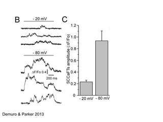 Demuro & Parker 2013 
 