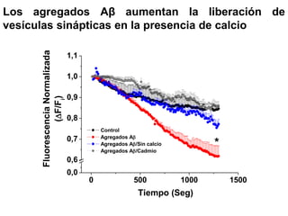 Los agregados Aβ aumentan la liberación de 
vesículas sinápticas en la presencia de calcio 
0 500 1000 1500 
1,1 
1,0 
0,9 
0,8 
0,7 
0,6 
0,0 
Control 
Agregados Ab 
Agregados Ab/Sin calcio 
Agregados Ab/Cadmio 
* 
Fluorescencia Normalizada 
) 
i 
(F/F 
Tiempo (Seg) 
 