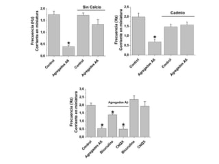 2,0 
1,5 
1,0 
0,5 
Control 
Agregados Aß 
Control 
Agregados Aß 
0,0 
* 
Sin Calcio 
Frecuencia (Hz) 
Corriente en miniatura 
Control 
Agregados Aß 
Control 
Agregados Aß 
2,5 
2,0 
1,5 
1,0 
0,5 
0,0 
Frecuencia (Hz) 
Corriente en miniatura 
* 
Cadmio 
3,0 
2,5 
2,0 
1,5 
1,0 
0,5 
Control 
Agregados Aß 
Bicuculina 
CNQX 
Bicuculina 
CNQX 
0,0 
* 
* 
* 
Agregados Ab 
Frecuencia (Hz) 
Corriente en miniatura 
 