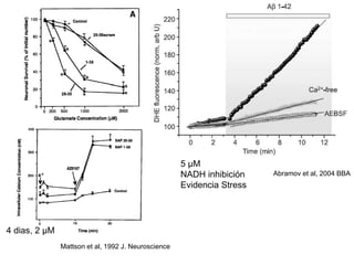 Abramov et al, 2004 BBA 
Mattson et al, 1992 J. Neuroscience 
4 dias, 2 μM 
5 μM 
NADH inhibición 
Evidencia Stress 
 