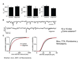 10 a 15 dias 
¿Cómo aislaron? 
Bicu, TTX, Picrotoxina y 
Nimodipino. 
Shankar et al., 2007 J of Neuroscience. 
 