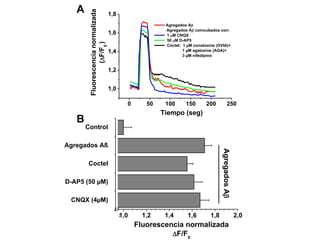 1,8 
1,6 
1,4 
1,2 
) 
0 
Control 
Agregados Aß 
Coctel 
D-AP5 (50 μM) 
CNQX (4μM) 
Agregados Ab 
Agregados Ab coincubados con: 
1 M CNQX 
50 M D-AP5 
Cóctel: 1 μM conotoxine (GVIA)+ 
1 μM agatoxine (AGA)+ 
3 μM nifedipino 
Agregados Ab 
0,0241,0 1,2 1,4 1,6 1,8 2,0 
Fluorescencia normalizada 
F/F 
0 
A 
B 
0 50 100 150 200 250 
1,0 
Fluorescencia normalizada 
(F/F 
Tiempo (seg) 
 