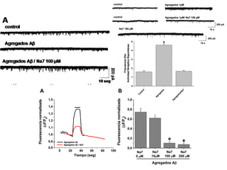 5 * 
4 
3 
2 
1 
1,0 
0,8 
0,6 
0,4 
0,2 
0,0 
* * 
n =30 
Agregados Ab 
Na7 
200 M 
Na7 
100 M 
Na7 
10M 
Na7 
0 M 
A B 
Fluorescencia normalizada 
) 
0 
(F/F 
Agregados Ab 
Agregados Ab / Na7 
0 20 40 60 80 100 
1,5 
1,4 
1,3 
1,2 
1,1 
1,0 
0,9 
0,0 
Fluorescencia normalizada 
) 
0 
(F/F 
Tiempo (seg) 
control 
control 
Agregados 1μM 
Agregados 1μM/ Na7 100 μM 
Na7 100 μM 
200 pA 
10 s 
200 pA 
10 s 
Control 
Agregados 
Agregados/Na7 
0 
Frecuencia (Hz) 
Actividad Sináptica Espontánea 
 