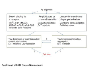 Benilova et al 2012 Nature Neuroscience 
 
