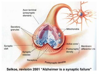 Selkoe, revisión 2001 “Alzheimer is a synaptic failure” 
 